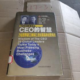 CEO的智慧:29位世界级CEO畅谈21世纪面临的经营挑战