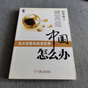 中国怎么办：当次货危机改变世界