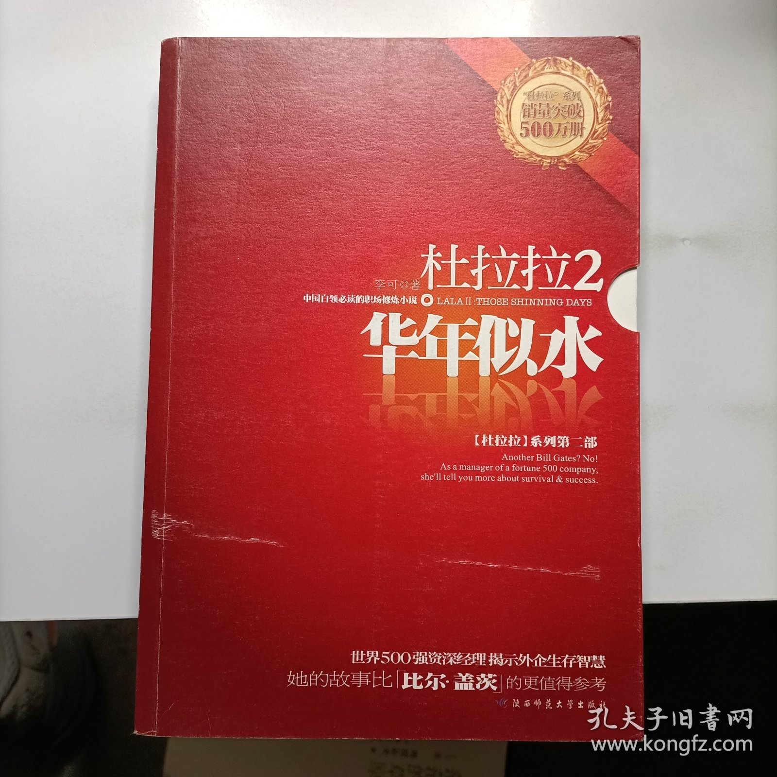 杜拉拉2：华年似水：《杜拉拉升职记》第二部
