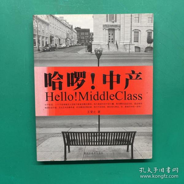 哈啰！中产：Hello! MiddleClass