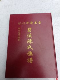 陈氏族谱，货号102