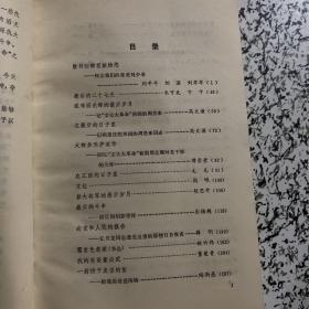 历史在这里沉思1—1966-1976年记实