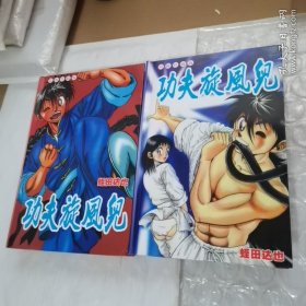 功夫旋风儿漫画