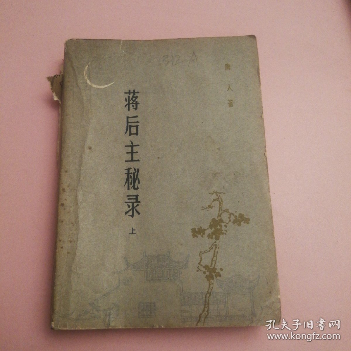 蒋后主秘录（上）