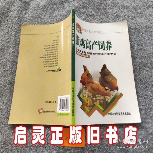 蛋鸡高产饲养