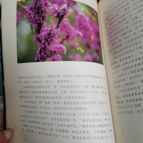 听剑楼笔记 花影
