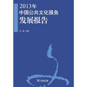 2013年中国公共文化服务发展报告