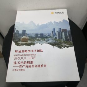 财通证券 财通策略李美岑团队 逃不开的周期——资产负债表衰退系列 证券研究报告