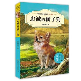 中外动物小说精品（升级版）·忠诚的狮子狗