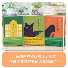 方刚儿童心理成长绘本小说3册 《猫头鹰绝密行动》《女孩和流浪猫》《奇怪的转校生》