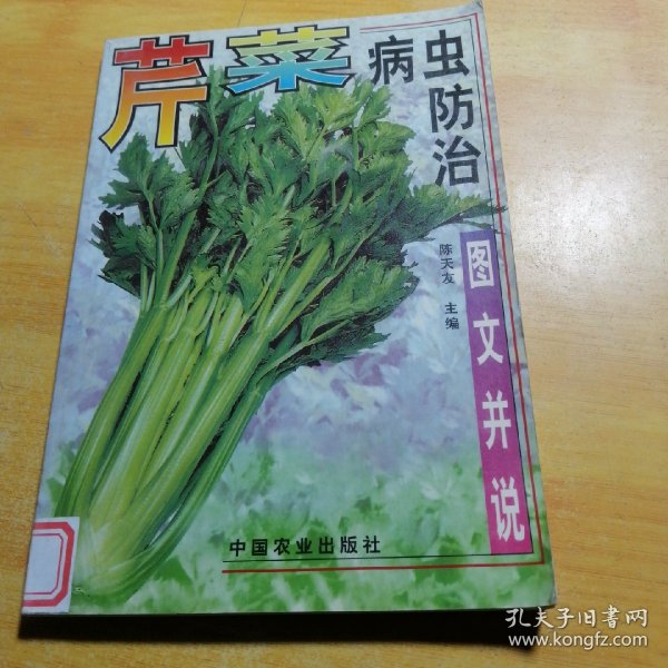 芹菜病虫防治（图文并说）