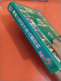 最新21世纪少年儿童百科：THE UPDATED 21st CENTURY ENCYCLOPEDIA FOR CHINDREN