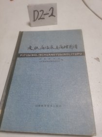 皮肤病临床与病理图谱 一版一印