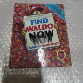 LOST FOR THOUSANDS OF YEARS HIDDEN AMONG THOUSANDS OF PEOPLE FIND WALDO NOW