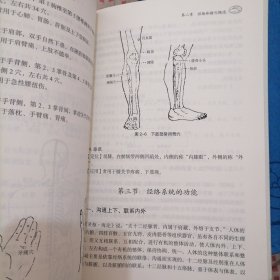 脏腑经络按摩学成为品