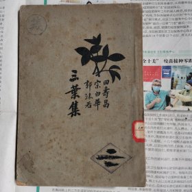 新文学名著，《三叶集》亚东图书馆 ，1929年出版，郭沫若，田汉，宗白华合著，该书有中国的《少年维特之烦恼》之赞誉。