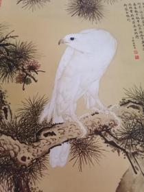 清乾隆御用画师郎世宁白鹰图卷轴单款挂画名画收藏家居装饰饰品