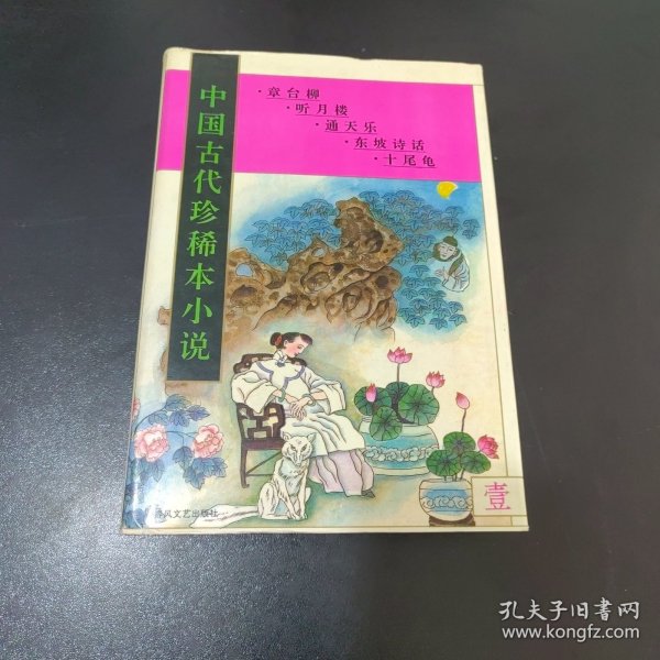 中国古代珍稀本小说.5