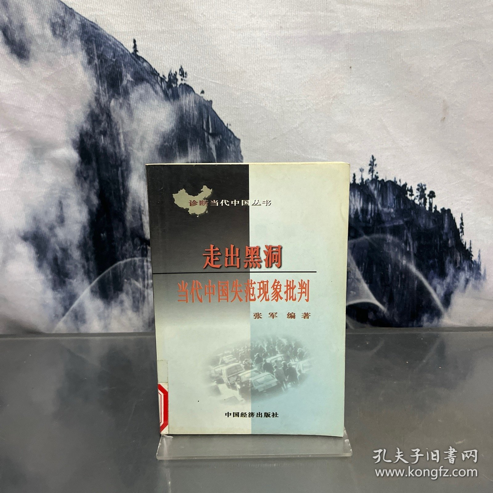 走出黑洞:中国当代社会失范现象批判