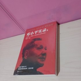 邓小平实录3:1966—1982(改革开放40周年纪念版)