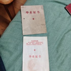 毕业证书(小学和初中同一人)