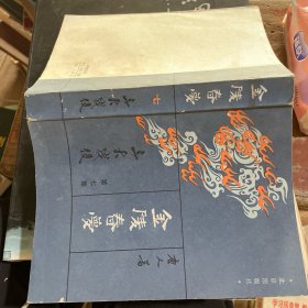 金陵春梦 （第七集 三大战役 第五集 和谈前后）两本合售