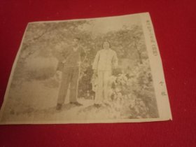 歌颂周总理丰功伟绩的美术作品:老一辈美术家于牧创作的油画《霜叶红于二月花》（此为粉碎四人帮之后七十年代的一张“剪报”，画心12×10厘米）