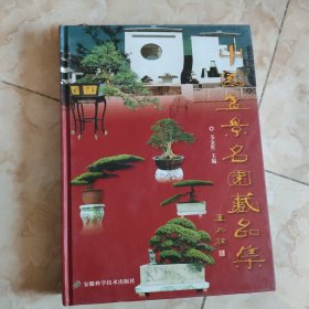 中国盆景名园藏品集