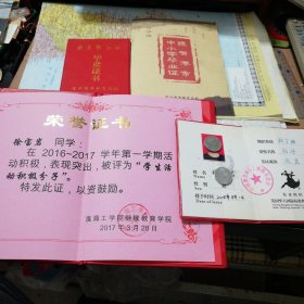 一个人的学历证书和书誉证书(小学、中学毕业证书)4本合售