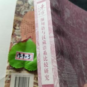 缅甸语与汉藏语系比较研究