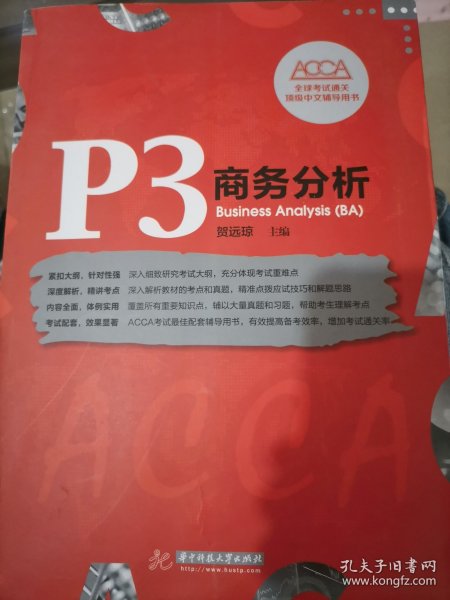 P3 商务分析