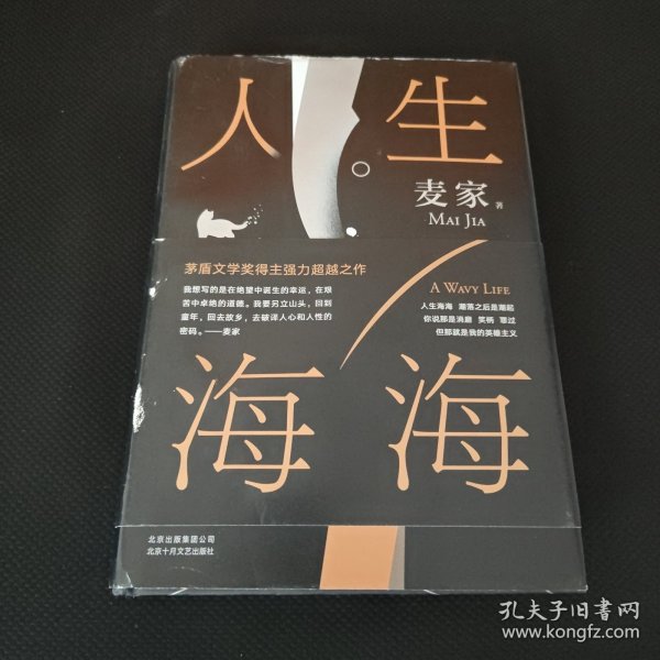 麦家：人生海海（茅盾文学奖得主麦家2019年强力之作）