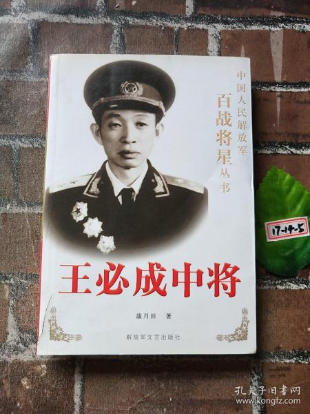 王必成中将