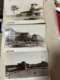 五十年代上海师范学院老照片
历史纪念1954年创建上海师范专科学校，1956年扩建为本科院校上海第一师范学院和上海第二师范学院，1958年两校合并为上海师范学院。1972年与其他四校合并为上海师范大学。