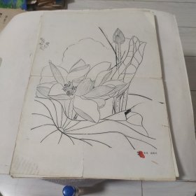 历史及当代著名大师级画家. 珍贵画稿 8开14幅。 俞致贞的荷花 田世光的芍药 陈子奋的芙蓉 王秋的玉兰黄鹂 郭怡琮的热带雨林及水仙 宋.佚名的《八十七神仙卷》传唐.吴道子《送子天王图卷》及《维糜诘》白雪石烟雨漓江 沈重的石林 宋.佚名出水芙蓉 俞致贞的大紫荆蛱蝶 五代.顾闳中的韩熙载夜宴图