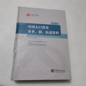 2020中国人口普查分乡、镇、街道资料