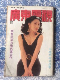 广东电视周刊119利智李莹刘德华顾纪筠