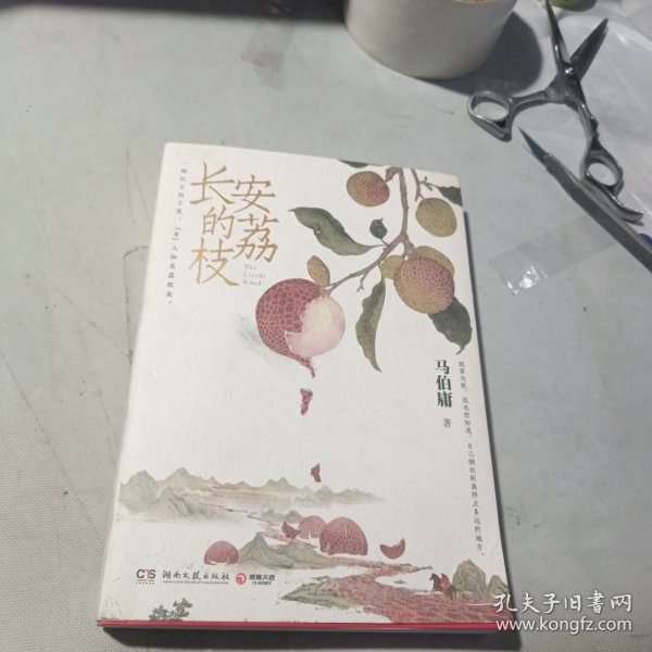 长安的荔枝（马伯庸备受好评的历史小说，一骑红尘妃子笑“有”人知是荔枝来，影视改编中即将上线）