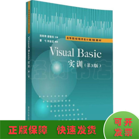 Visual Basic实训