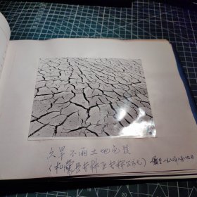 老照片。西藏老照片影集一本，著名摄影家莫定有拍摄。西藏1981年旱灾。