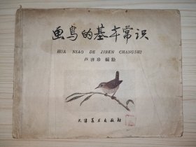 畫鳥的基本常識(shí)