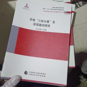 农地“三权分置”与实现路径研究