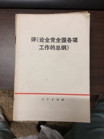 评《论全党全国各项工作的总纲》