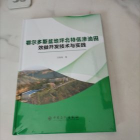 鄂尔多斯盆地坪北特低渗油田效益开发技术与实践 全新正版未拆封