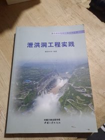 泄洪洞工程实践/溪洛渡水电站工程技术丛书，