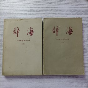 辞海:工程技术分册（上下）