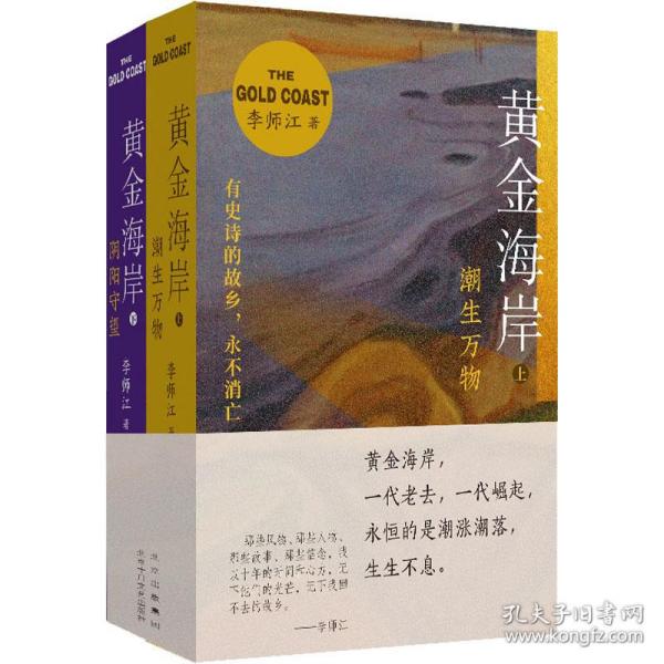 海岸(全2册) 官场、职场小说 李师江 新华正版