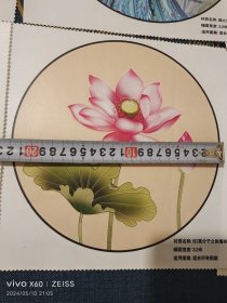 花样6张