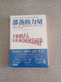 部落的力量：从抱怨、推诿、拖延的庸碌之师到充满激情、能量、想象力的非凡团队