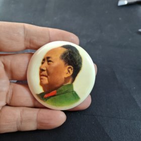 毛主席像章，塑料，山西，接见，品相如图